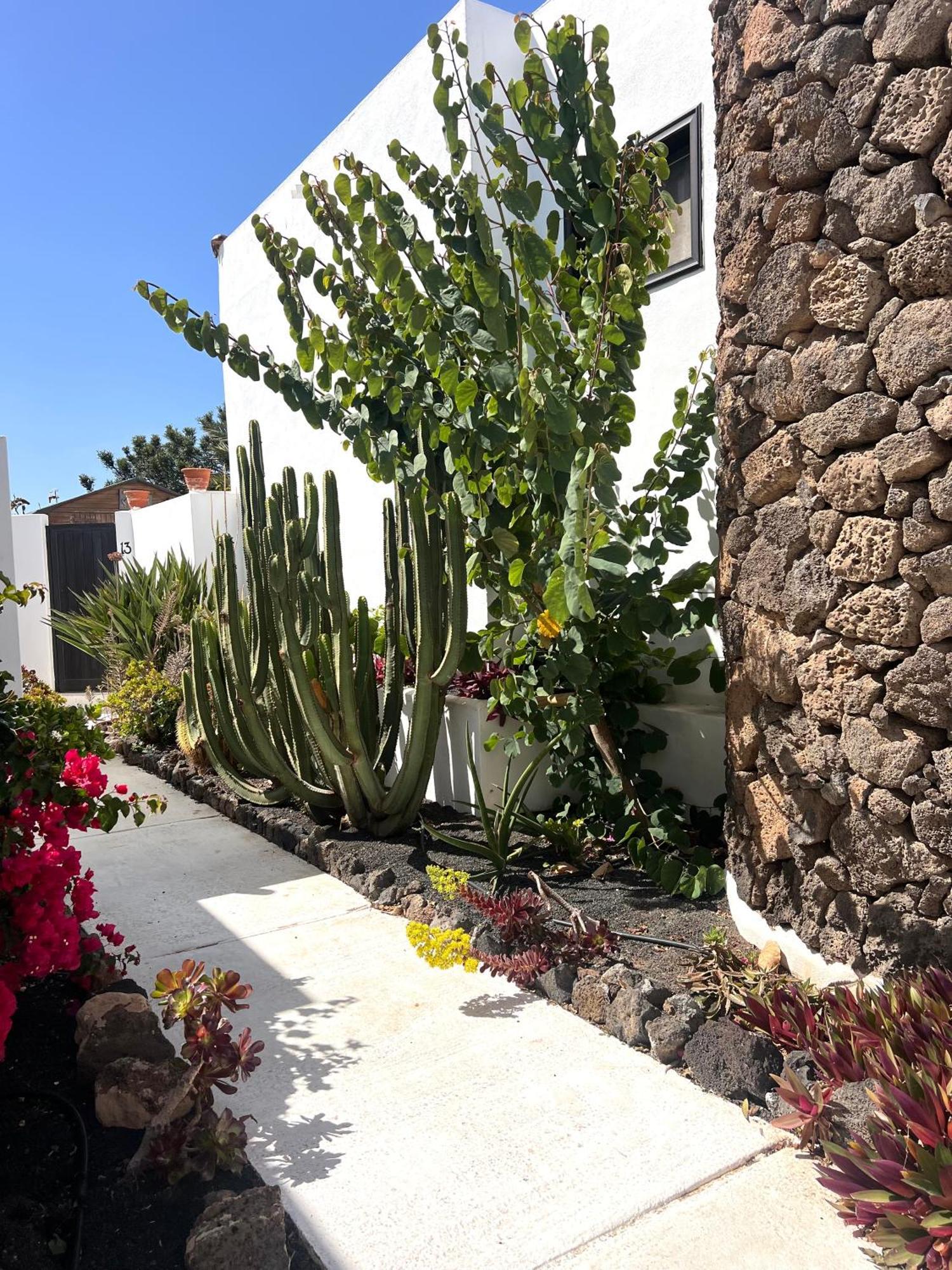 Oasis En Lanzarote Villa Costa Teguise Kültér fotó