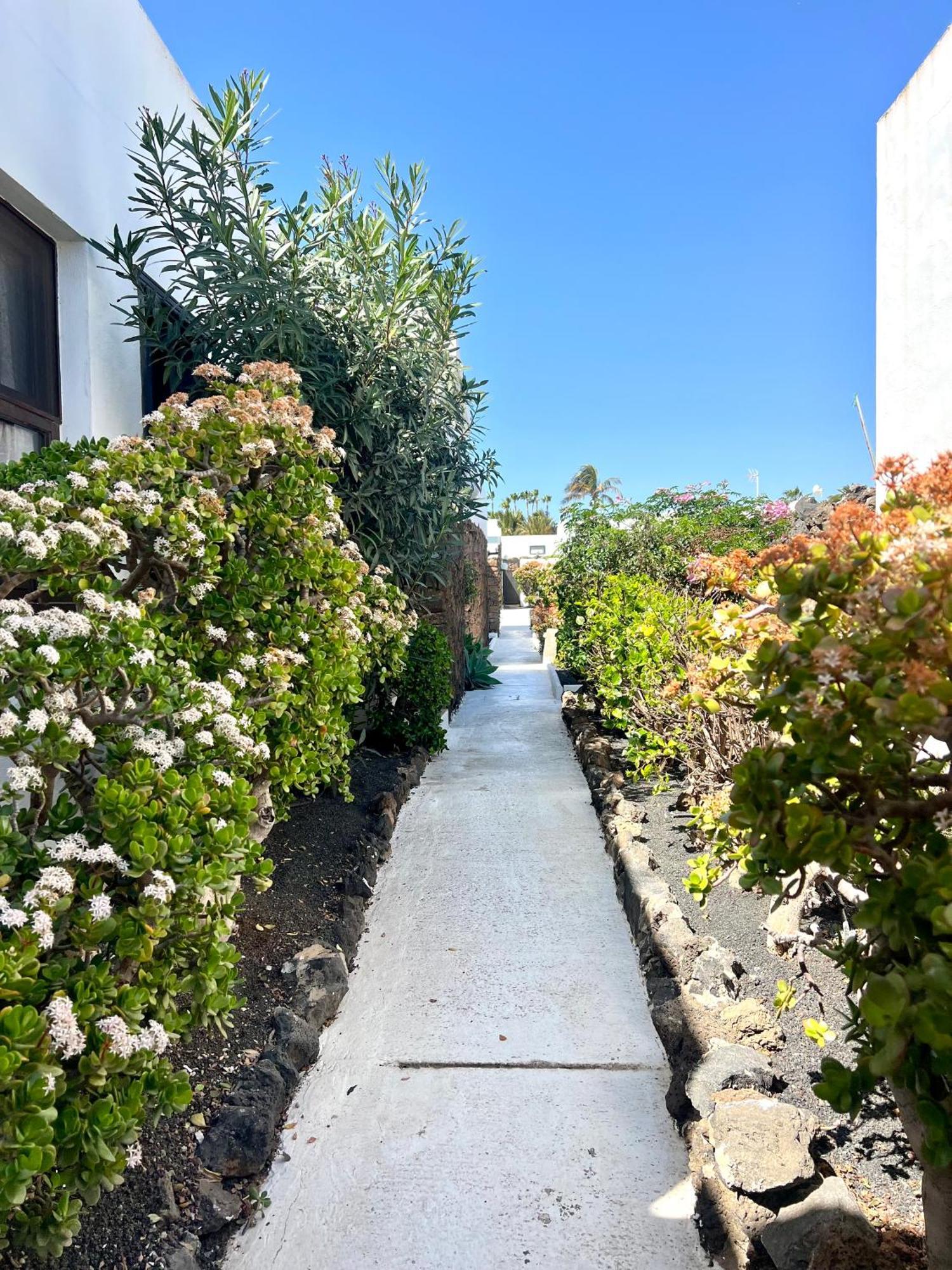 Oasis En Lanzarote Villa Costa Teguise Kültér fotó