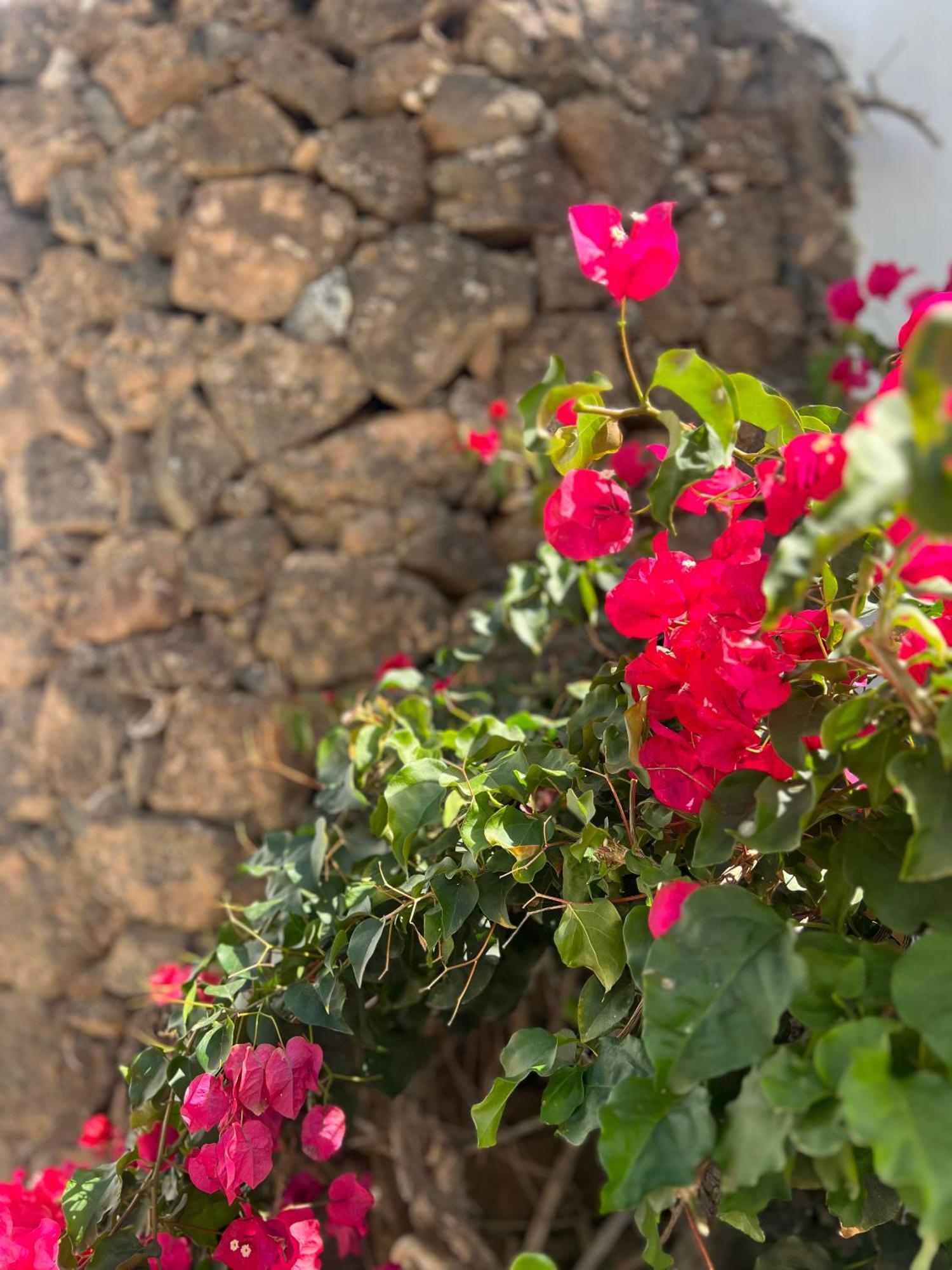 Oasis En Lanzarote Villa Costa Teguise Kültér fotó